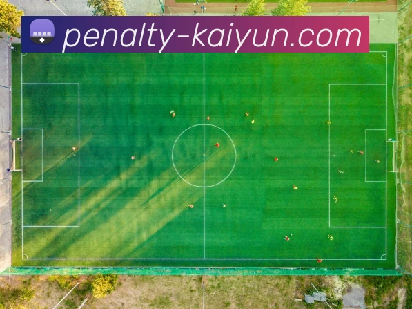 开云官网APP 封面图